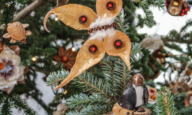 Best Classic Christmas Traditions