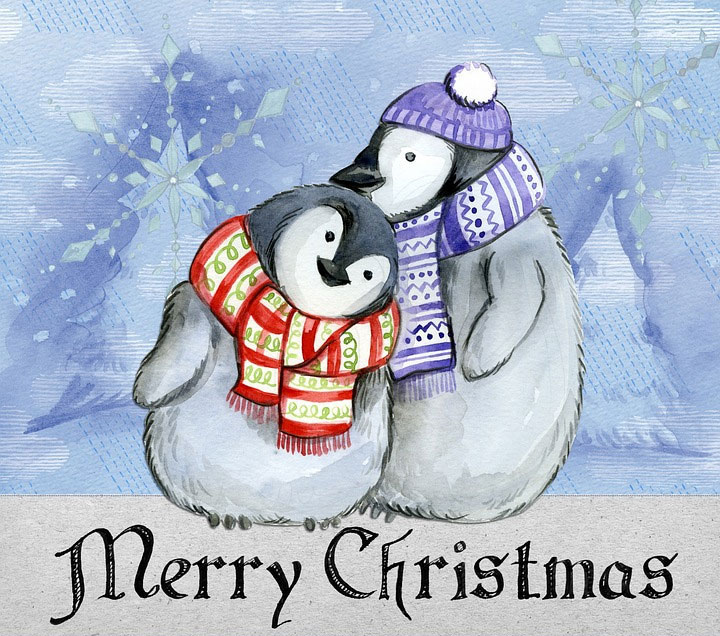 Christmas Greetings Card