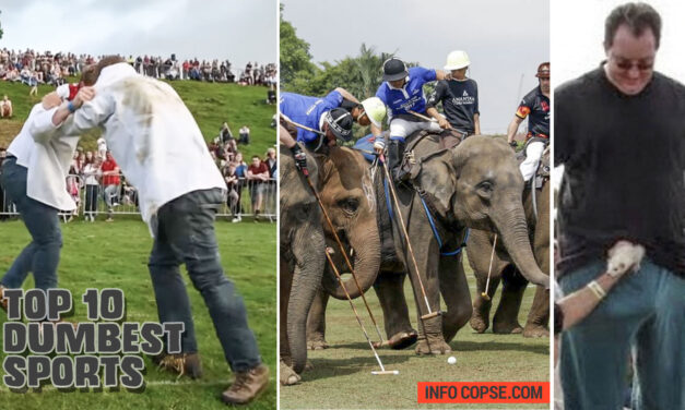 Top 10 Dumbest Sports in the World