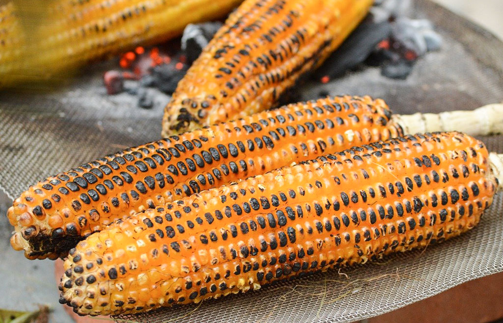 Corn on the Cob